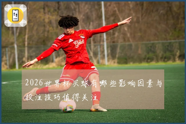 2026世界杯买球有哪些影响因素与投注技巧值得关注