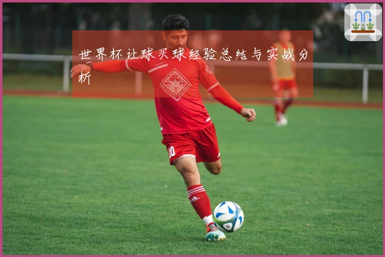 世界杯让球买球经验总结与实战分析