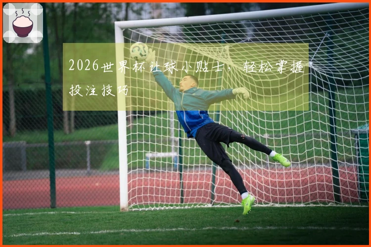 2026世界杯让球小贴士，轻松掌握投注技巧