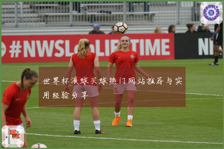世界杯滚球买球热门网站推荐与实用经验分享