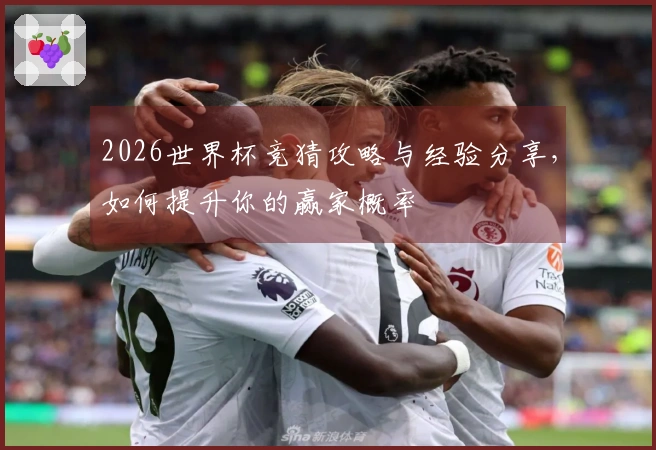 2026世界杯竞猜攻略与经验分享，如何提升你的赢家概率