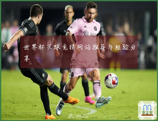 世界杯买球竞猜网站推荐与经验分享