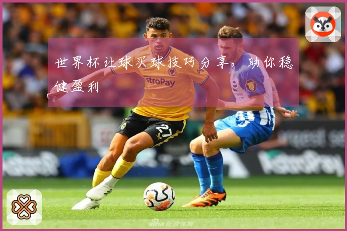 世界杯让球买球技巧分享，助你稳健盈利